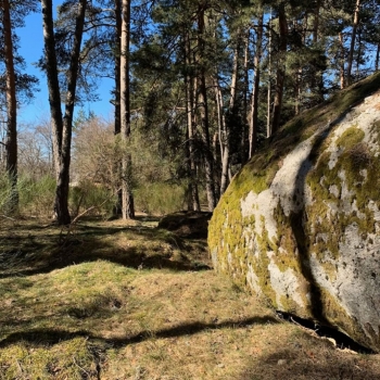 https://www.acutance.fr/files/gimgs/th-12_16_Loz25_v2.jpg