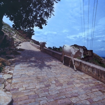 https://www.acutance.fr/files/gimgs/th-12_19_Ind10_v2.jpg